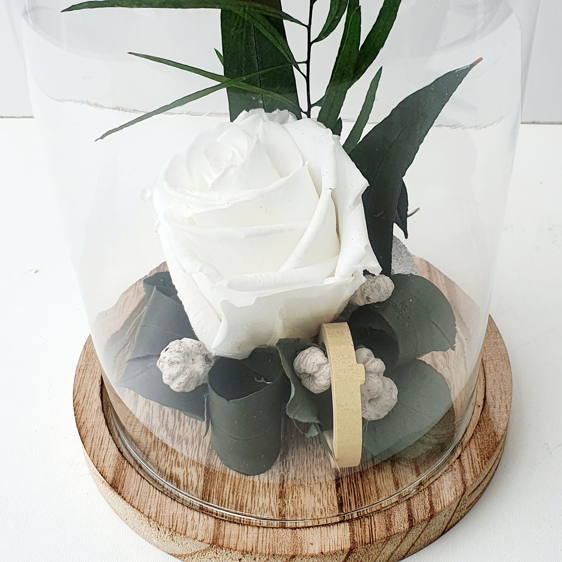 Cloche simple grande Rose Éternelle blanche - Fleurs de Saison