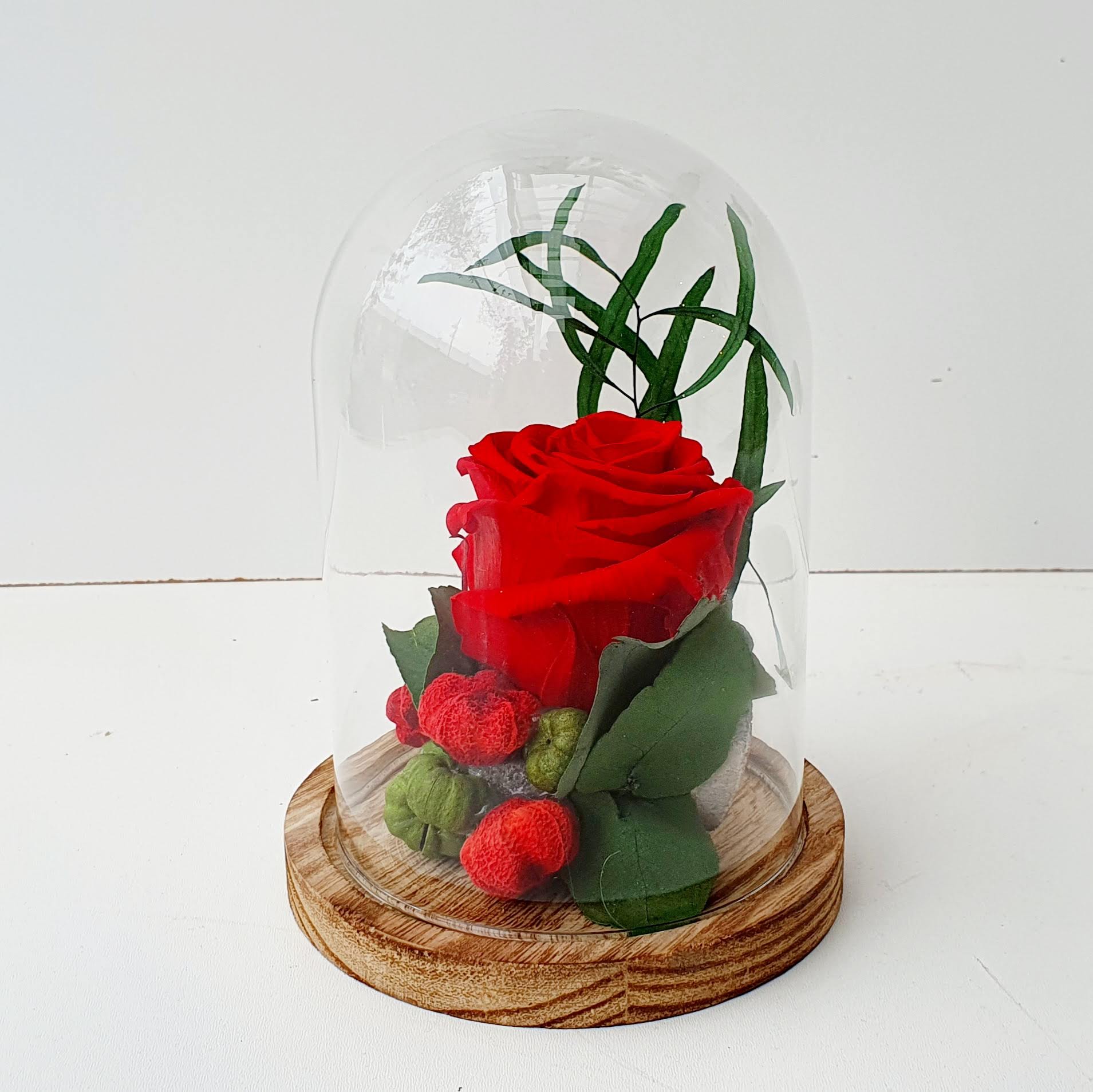 Cloche simple petite Rose Éternelle rouge - Fleurs de Saison