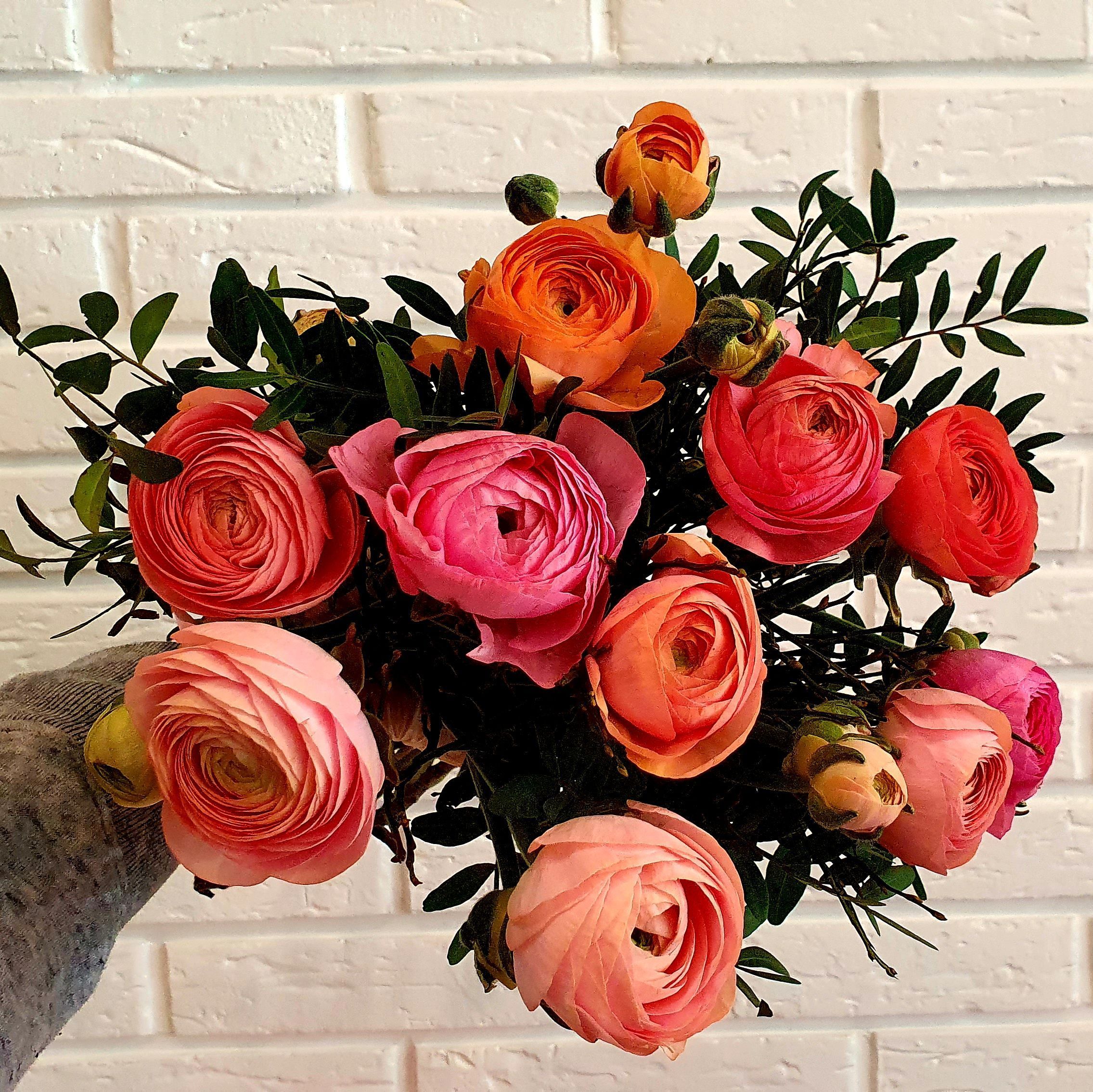 Bouquet de renoncules pastel - Fleurs de Saison